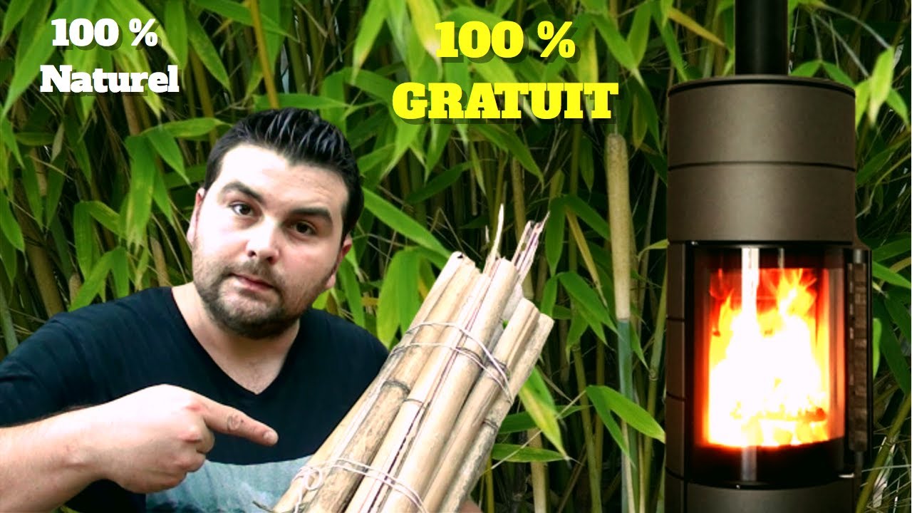 Le BAMBOU - bois de chauffage alternatif 100 % gratuit