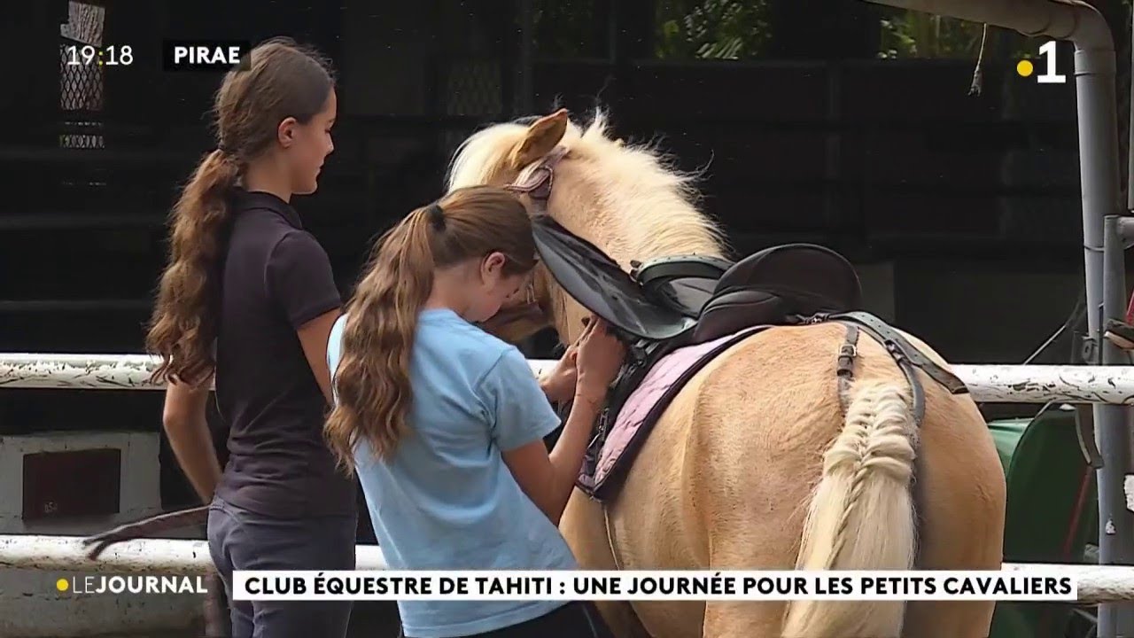 Club équestre de Tahiti : une journée pour les petits cavaliers.