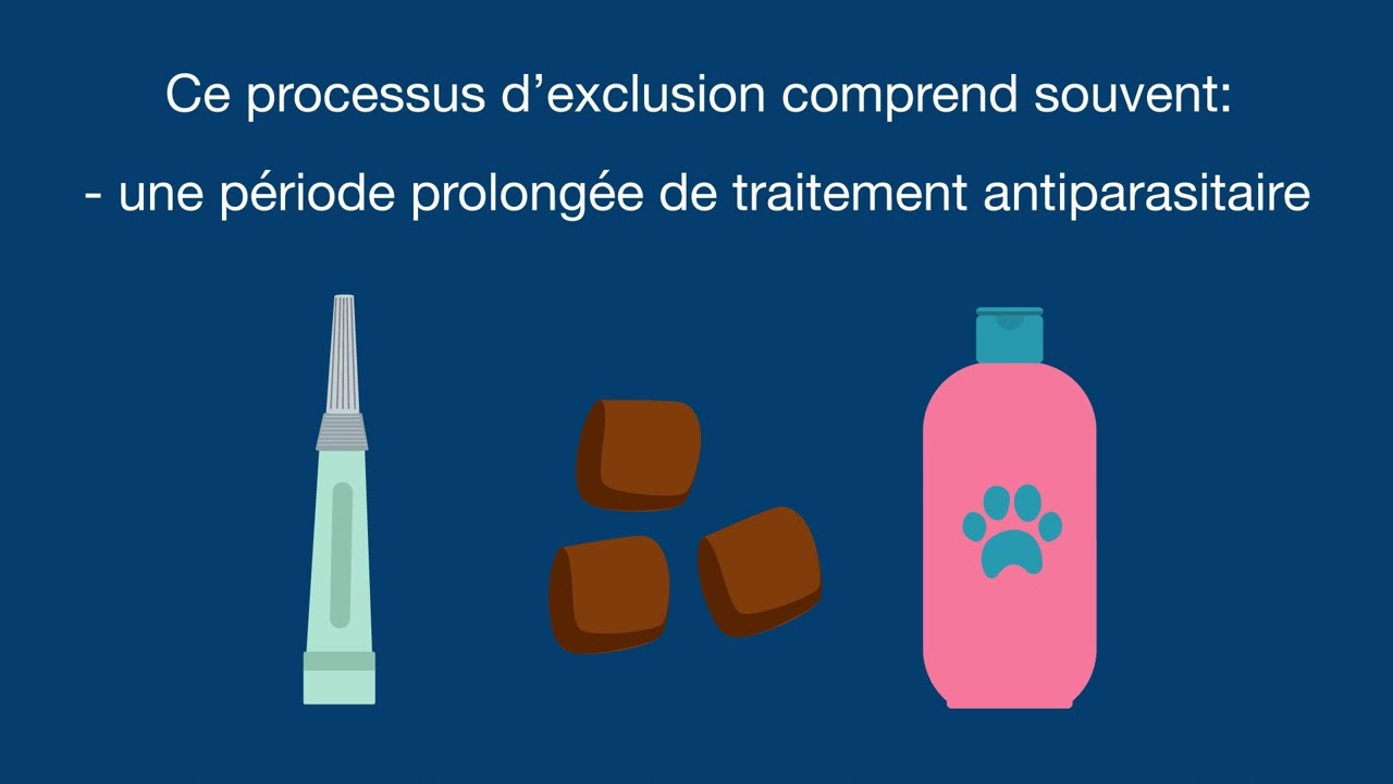 Otite externe : comprendre les symptômes de l’otite et le plan de traitement à long terme