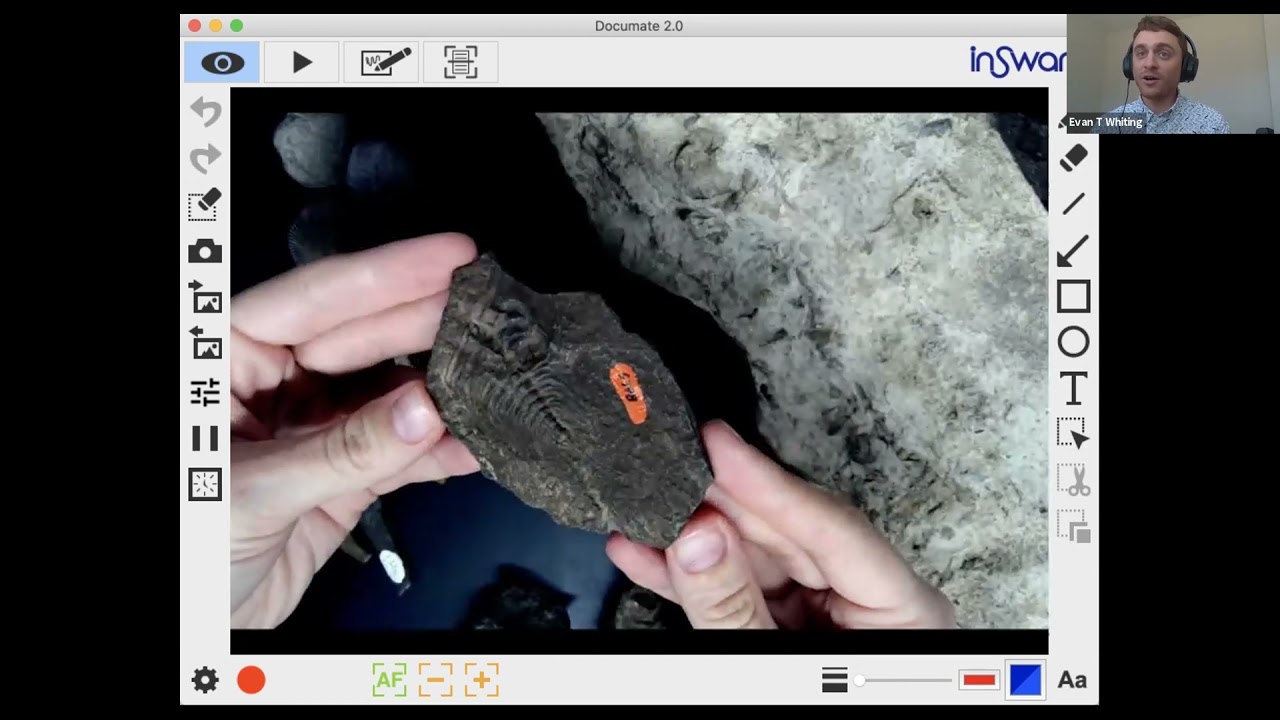 Minnesota: Geology, Formations, & Fossils