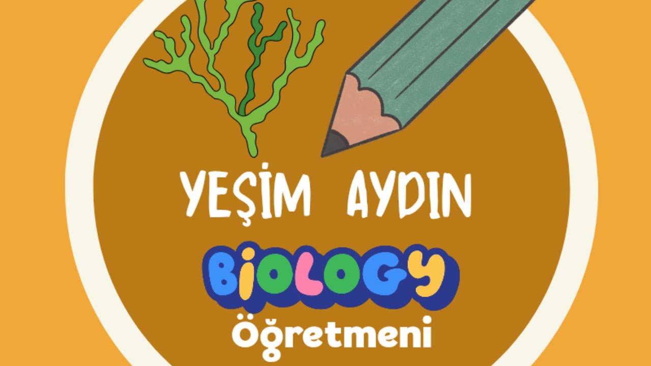 10.sınıf sindirim 2. bölüm
