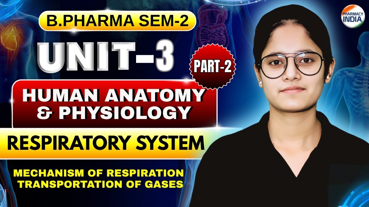 Mechanism Of Respiration I Transport Of Gases I I HAP I P - 2 I U-2 I B.Pharm I Sem-2 #humananatomy