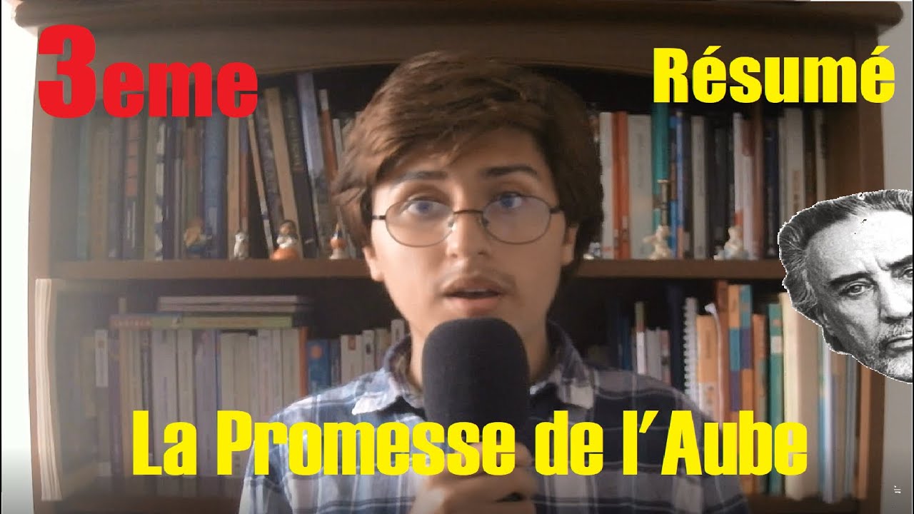 Résumé de La Promesse de l'Aube 3eme /#4 L'ADO INCOLLABLE