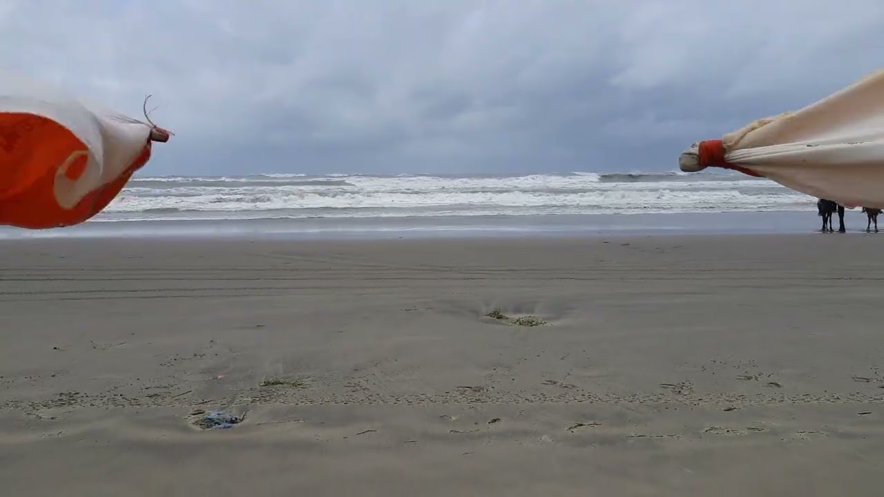 Cox's Bazar song || কক্সবাজার এর গান || #কক্সবাজার #coxsbazar #গান #song