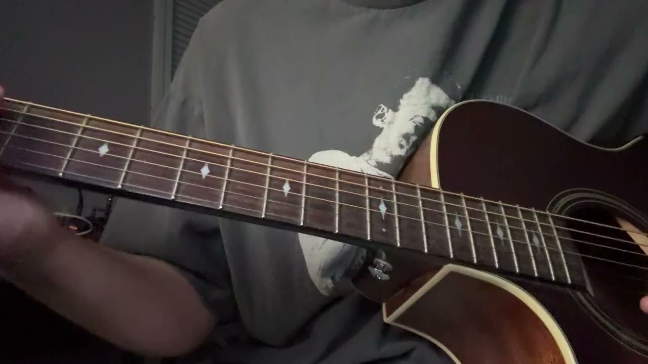 needs no progress, i will lie - salvia palth cover 