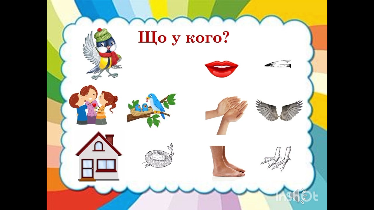 Вікторина - гра 