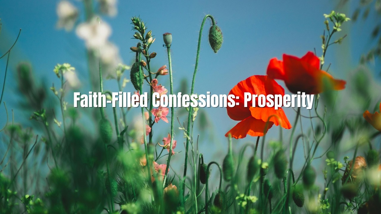Faith Filled Confessions Prosperity