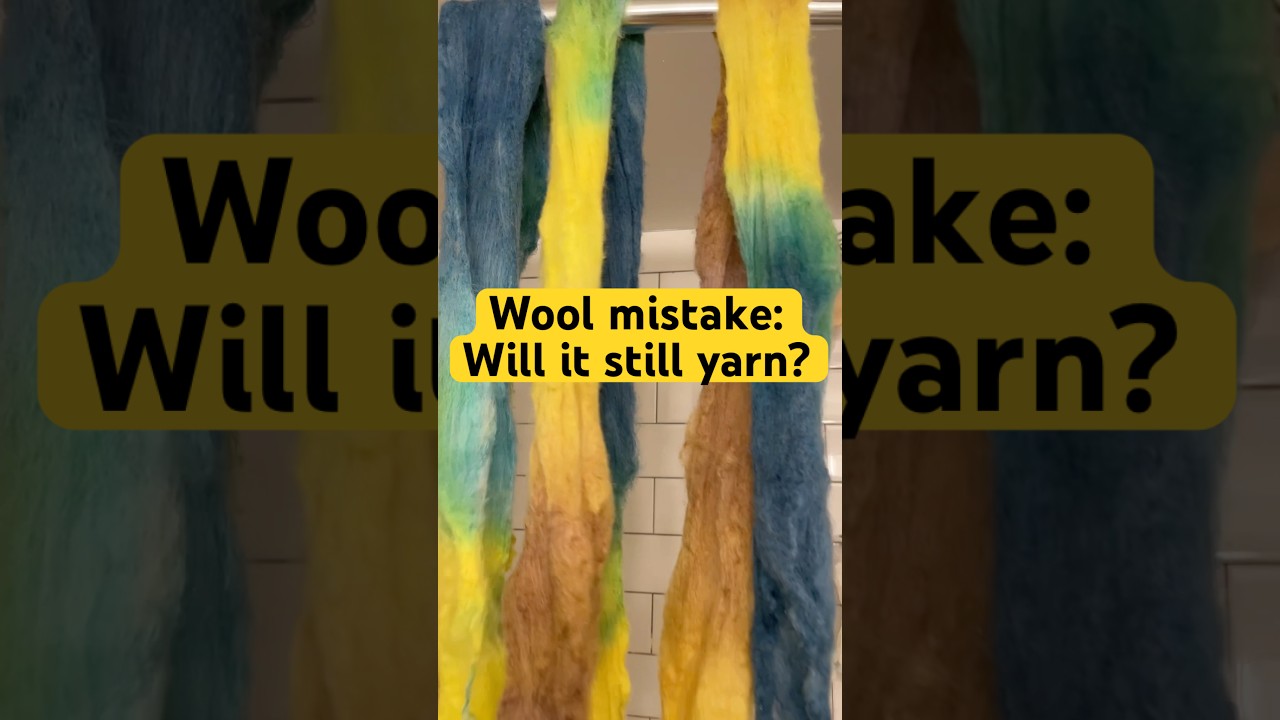 The sept guild communal dye results #yarn #spinning #fiber