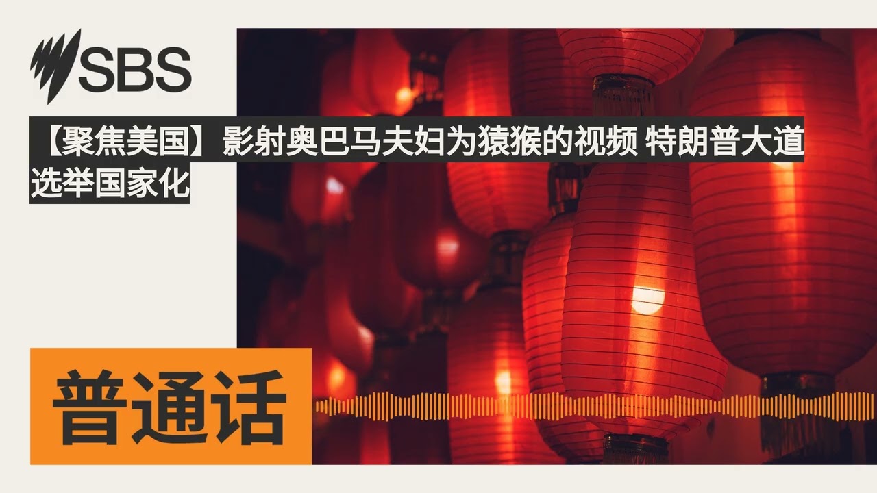 【聚焦美国】影射奥巴马夫妇为猿猴的视频 特朗普大道 选举国家化 | SBS Mandarin - SBS 普通话电台