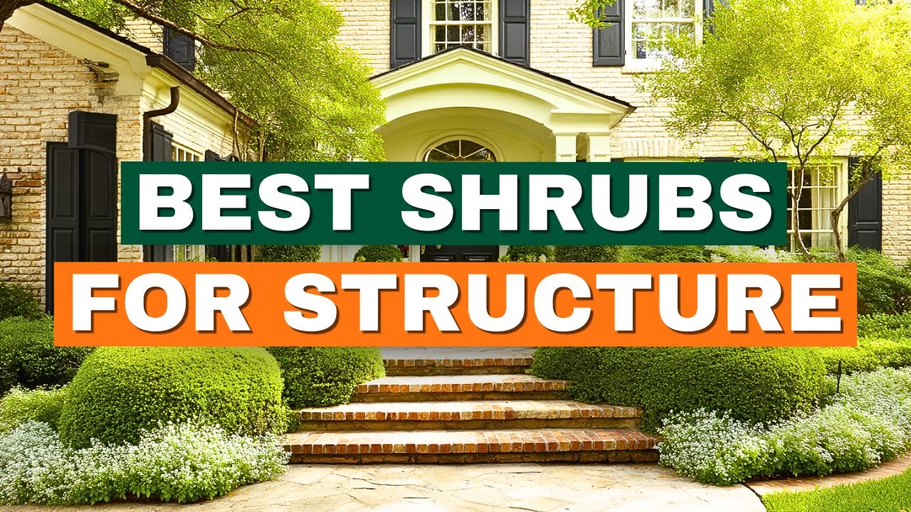Top 10 Best Shrubs for Front Yard Beauty and Structure! 🏡