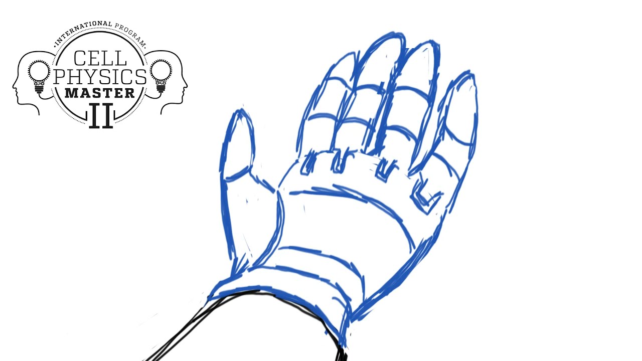 Sensory prostheses