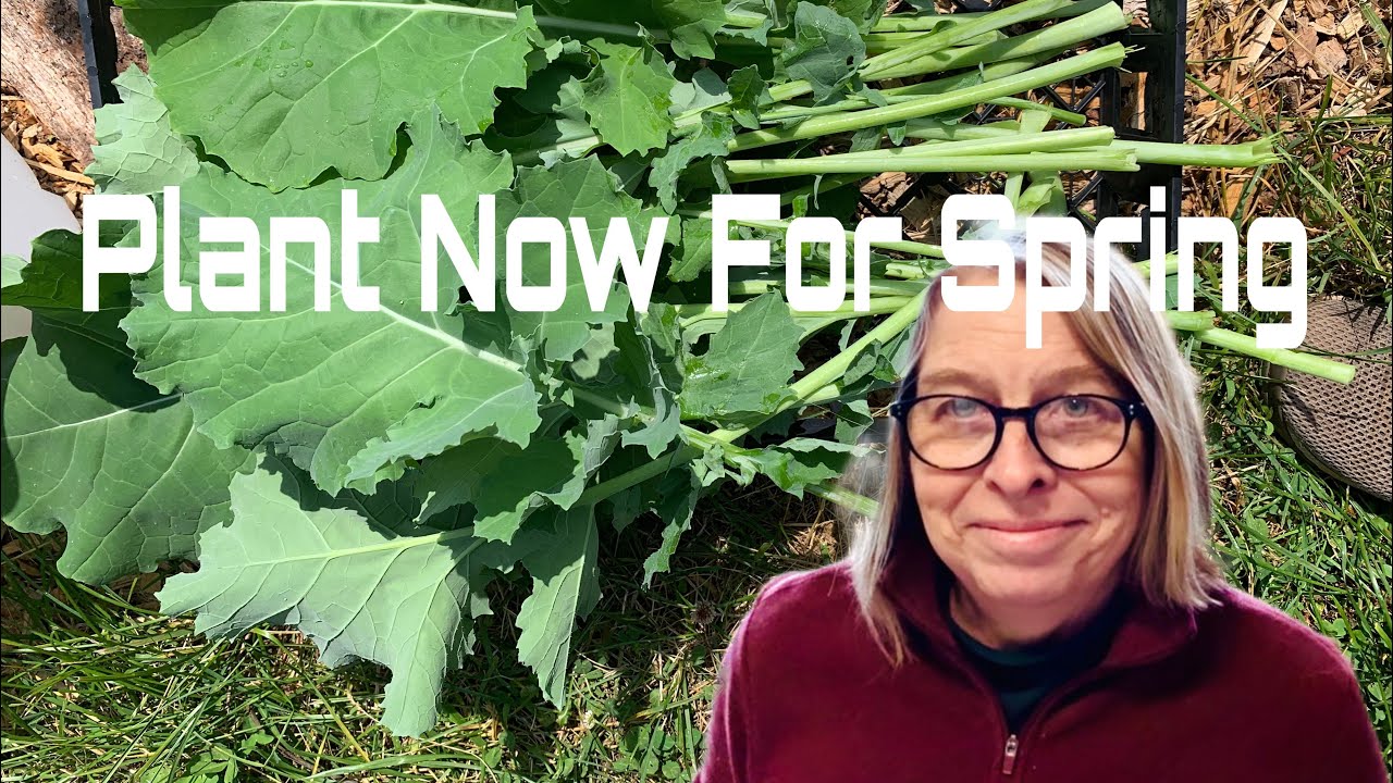 Пора начинать выращивать культуры, предпочитающие прохладный климат.