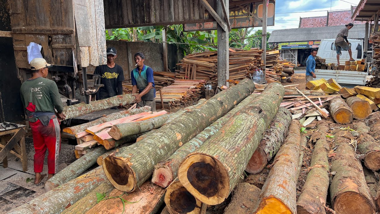 RARE!! This is what Javanese Ironwood looks like, sawed for use as a pen, and sold immediately.