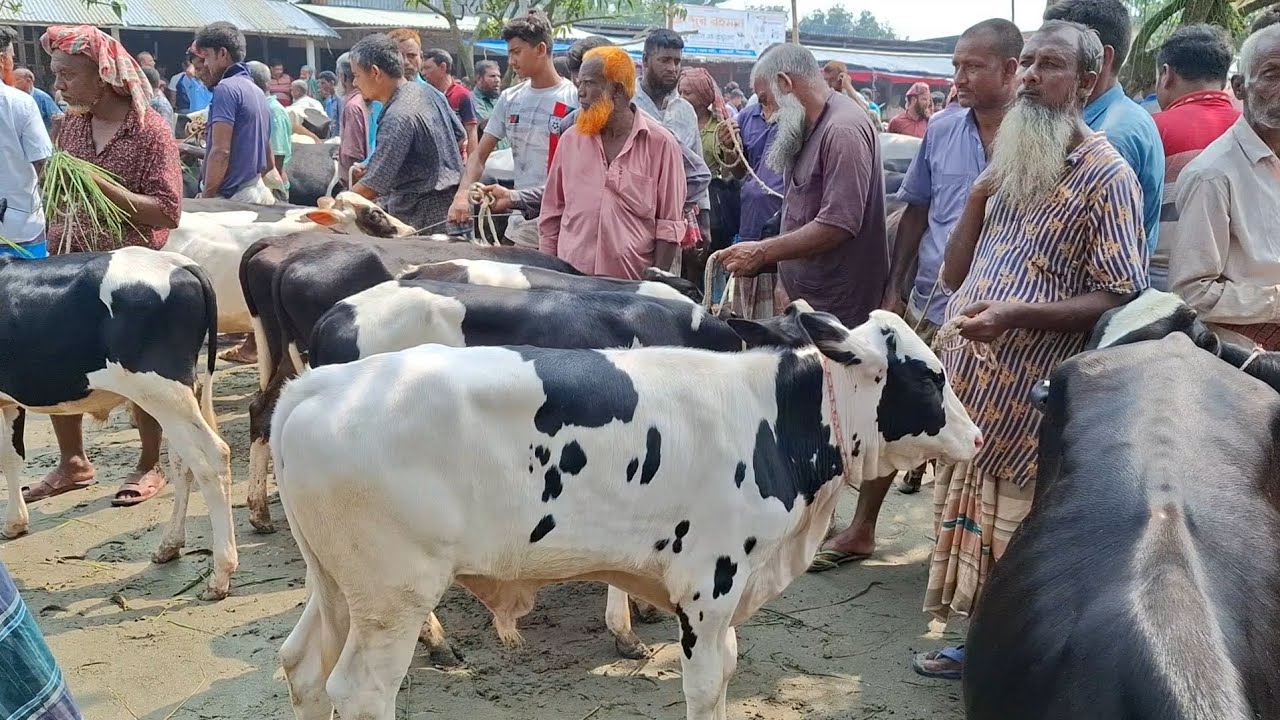 @আজ ১৮ আগস্ট 2025