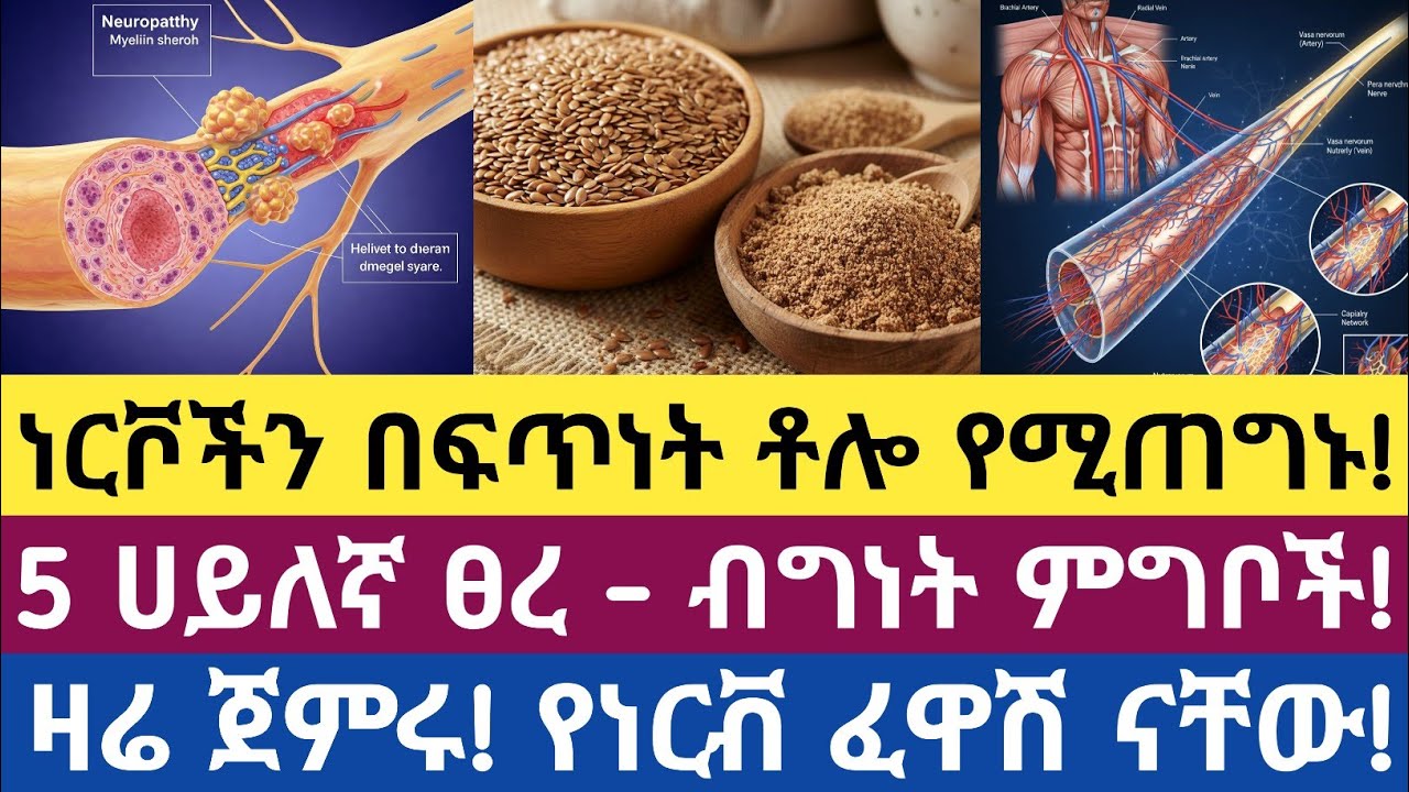 ለነርቭ ጥገና የሚረዱ 5 ኃይለኛ ፀረ-ብግነት ምግቦች| የነርቭ ህመምን የሚቀንሱና የማጠግኑ  | 5 powerful anti-inflammatory foods