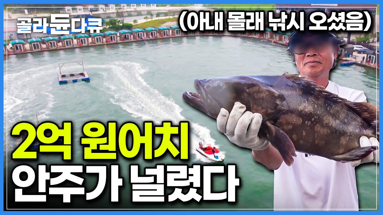 자바리가 있는 가두리 낚시터?! 꾼들한테는 이미 입소문 나서 아는 사람들만 몰래 가는 곳... 횟집에서도 구경 못하는 고급 어종들이 가득한 바다 낚시터｜극한직업｜#골라듄다큐