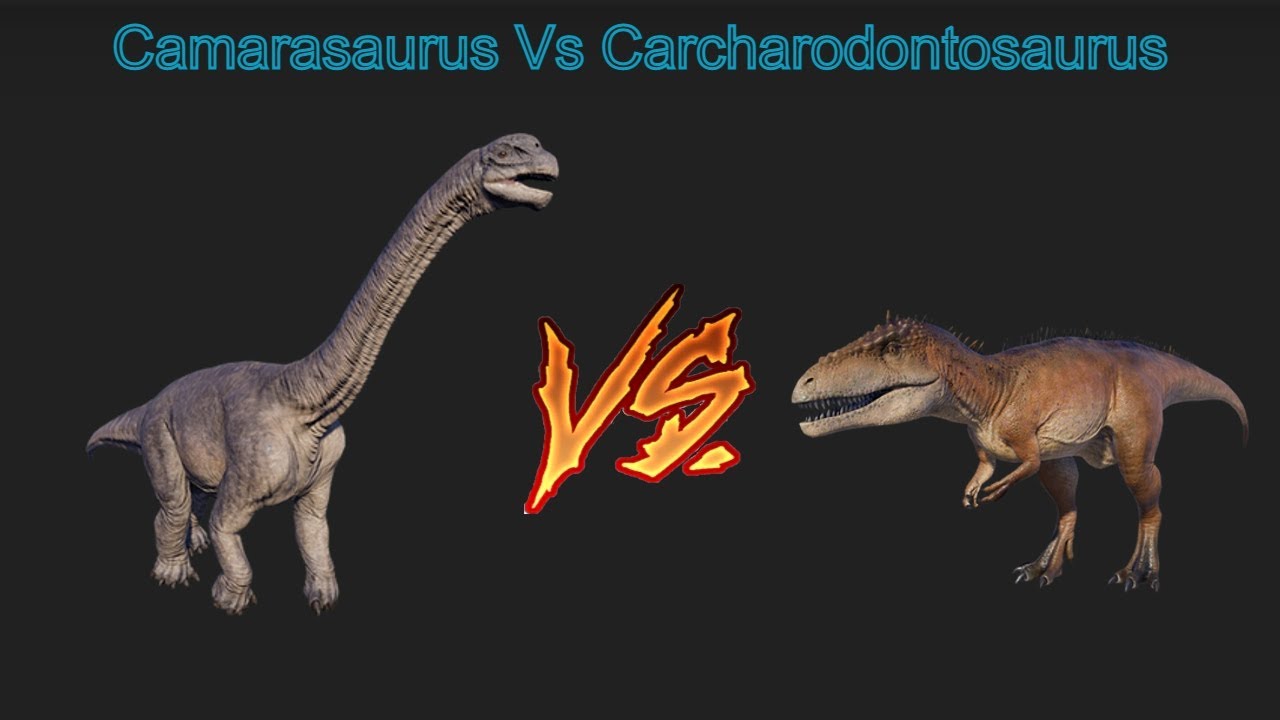 Camarasaurus Vs Carcharodontosaurus | Season 2 | Dinosaur Battles 1 | Jurassic world evolution 2 |