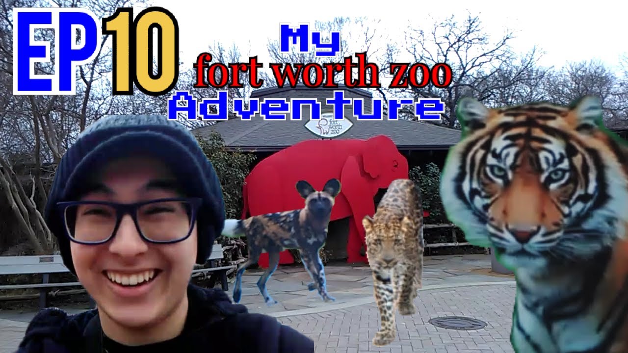 My Fort Worth Zoo Adventure Ep 10: The Final Episode! Tigers, Leopards and the Hunters of Africa!