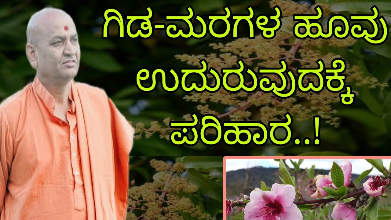 ಗಿಡ ಮರಗಳ ಹೂವು ಉದುರುವುದಕ್ಕೆ ಪರಿಹಾರ..! - ಶ್ರೀ ಕಾಡಸಿದ್ದೇಶ್ವರ ಸ್ವಾಮೀಜಿ