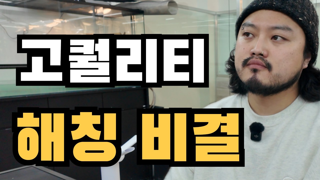 논릴리와 트라이의 차이점은? 그리고 호떡이가 나오게 된 비결!