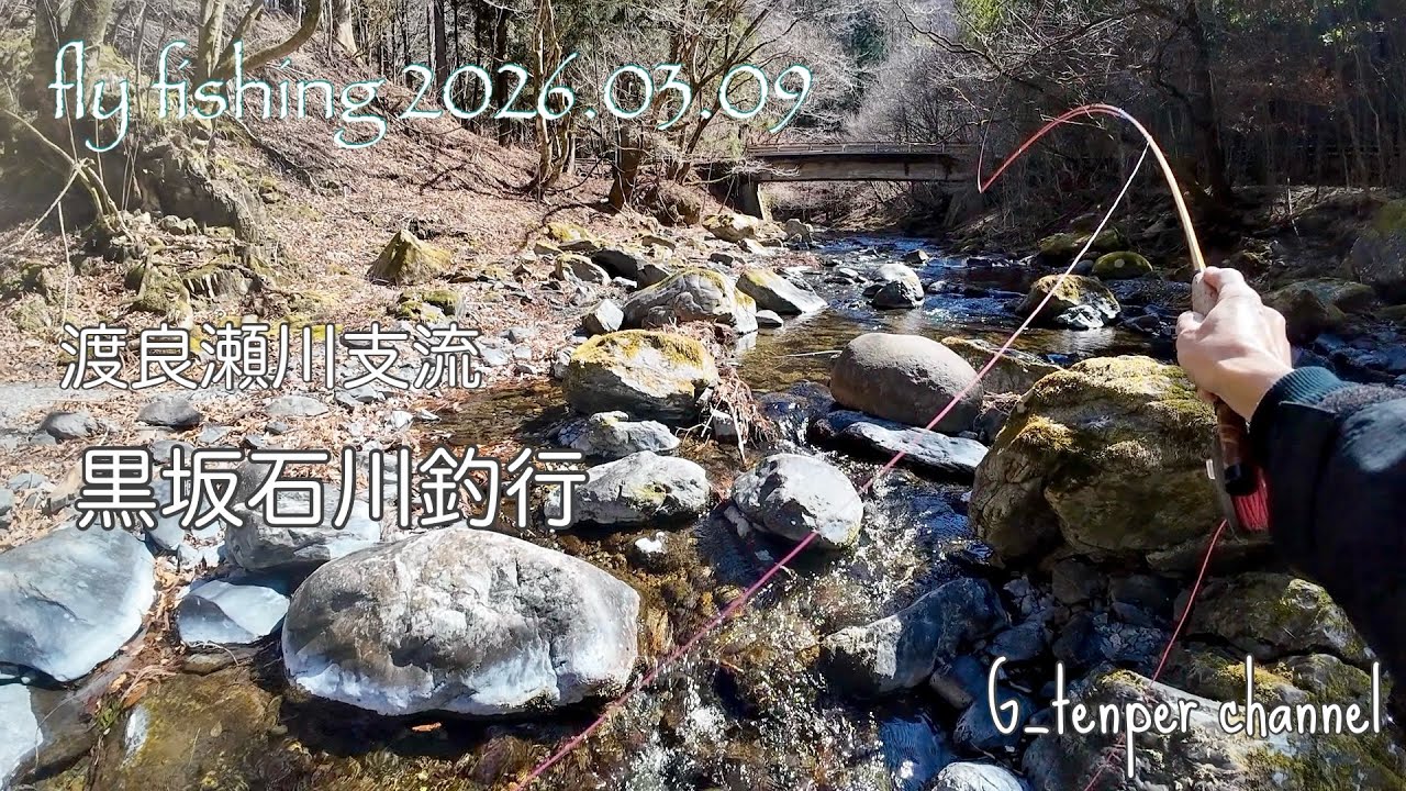 フライフィッシング[渡良瀬川支流・黒坂石川]2026.03.09