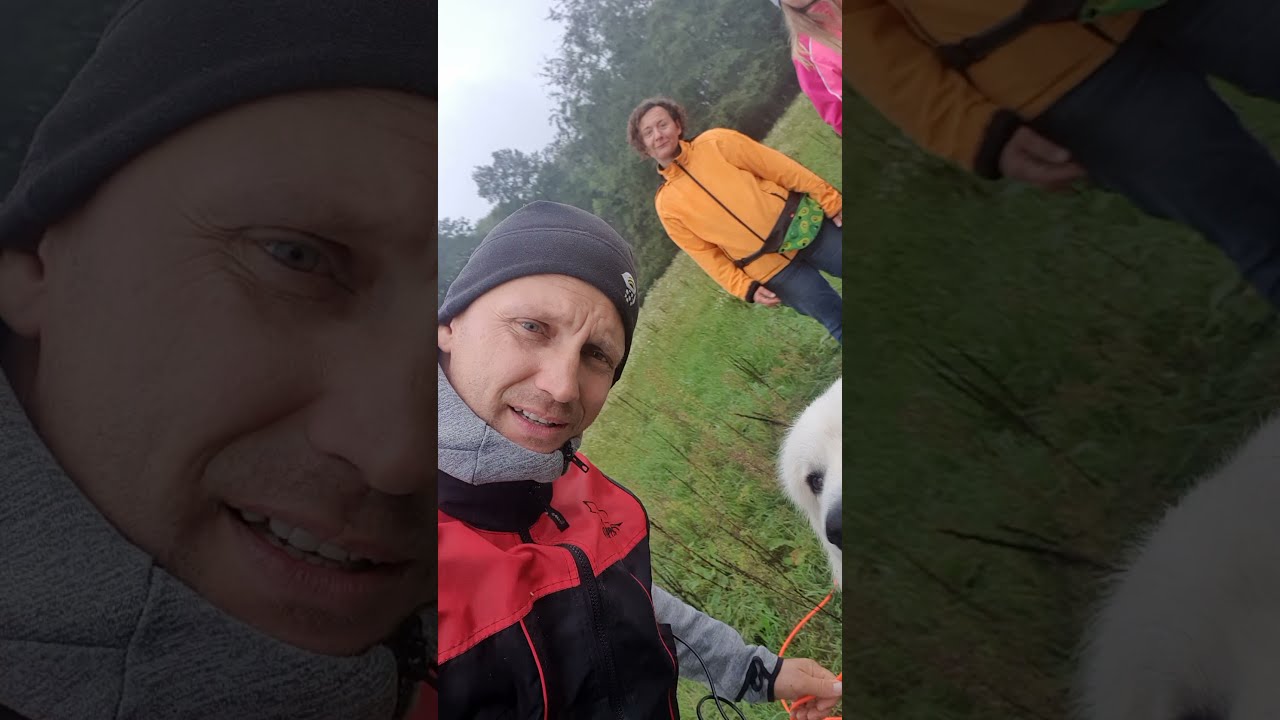 Elk&eacute;pesztő!!! Eddi a pireneusi hegyikutya mantrailingezik &eacute;s nyomot k&ouml;vet.
