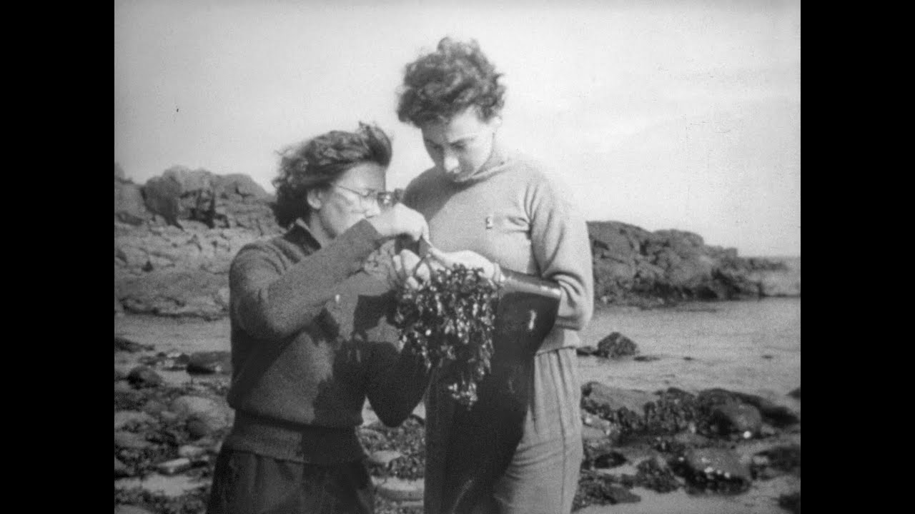 Курильские острова, 1966