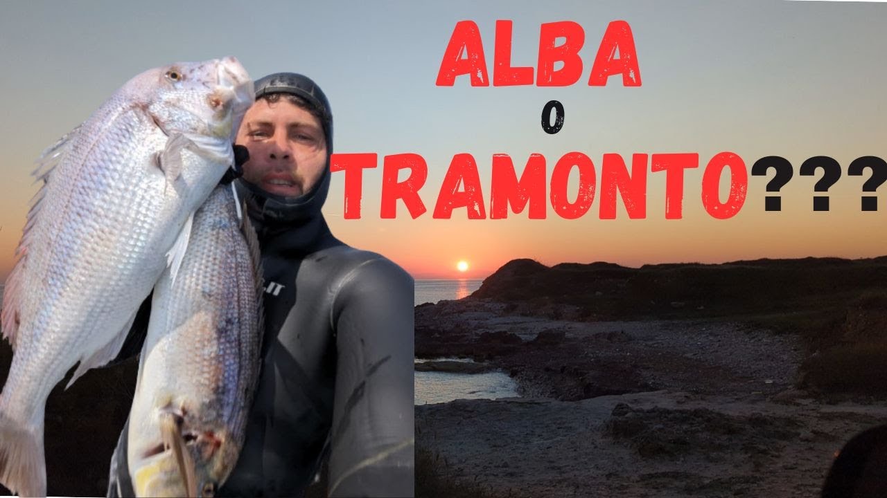 Una bella pescata di dentici all'alba!