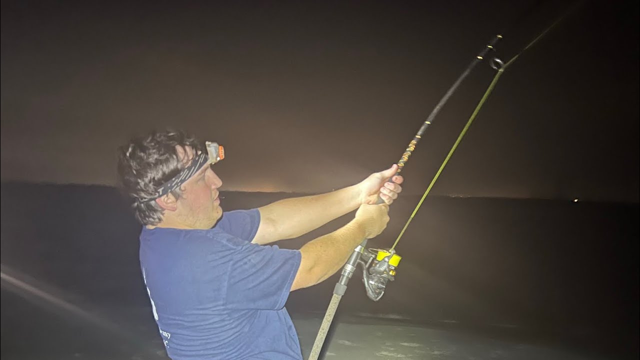"Best Budget Shark Fishing Combo! Catch MONSTER Sharks Without Breaking the Bank! 🎣🦈💰"