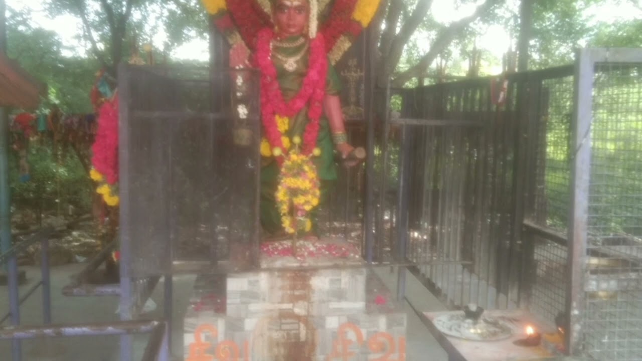 singammal in Melur