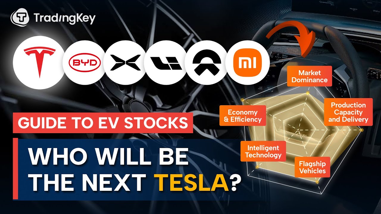 Top 6 EV Stocks To Watch NOW | Guide to Investing in EV Stocks (TSLA BYD LI NIO XPEV XIACY)