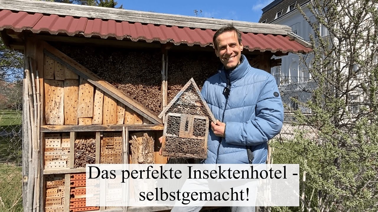 Die BIENEN kommen 🌞 Insektenhotels selber & mit den richtigen Materialien gestalten!