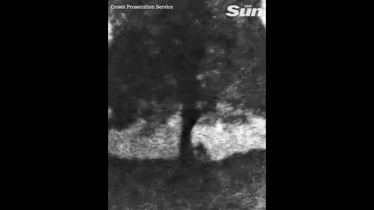 Dramatic night time video shows moment iconic Sycamore Gap tree &lsquo;chopped down