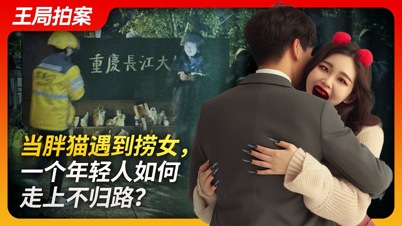 当胖猫遇到捞女，一个年轻人如何走上不归路？｜女权｜捞女｜胖猫｜王者荣耀｜男女平权｜日本｜梅大高速｜舆论控制｜王局拍案20240507