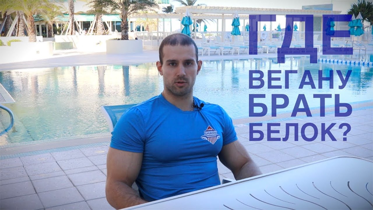 ИСТОЧНИКИ БЕЛКА ДЛЯ ВЕГАНА #веган #вегетарианец