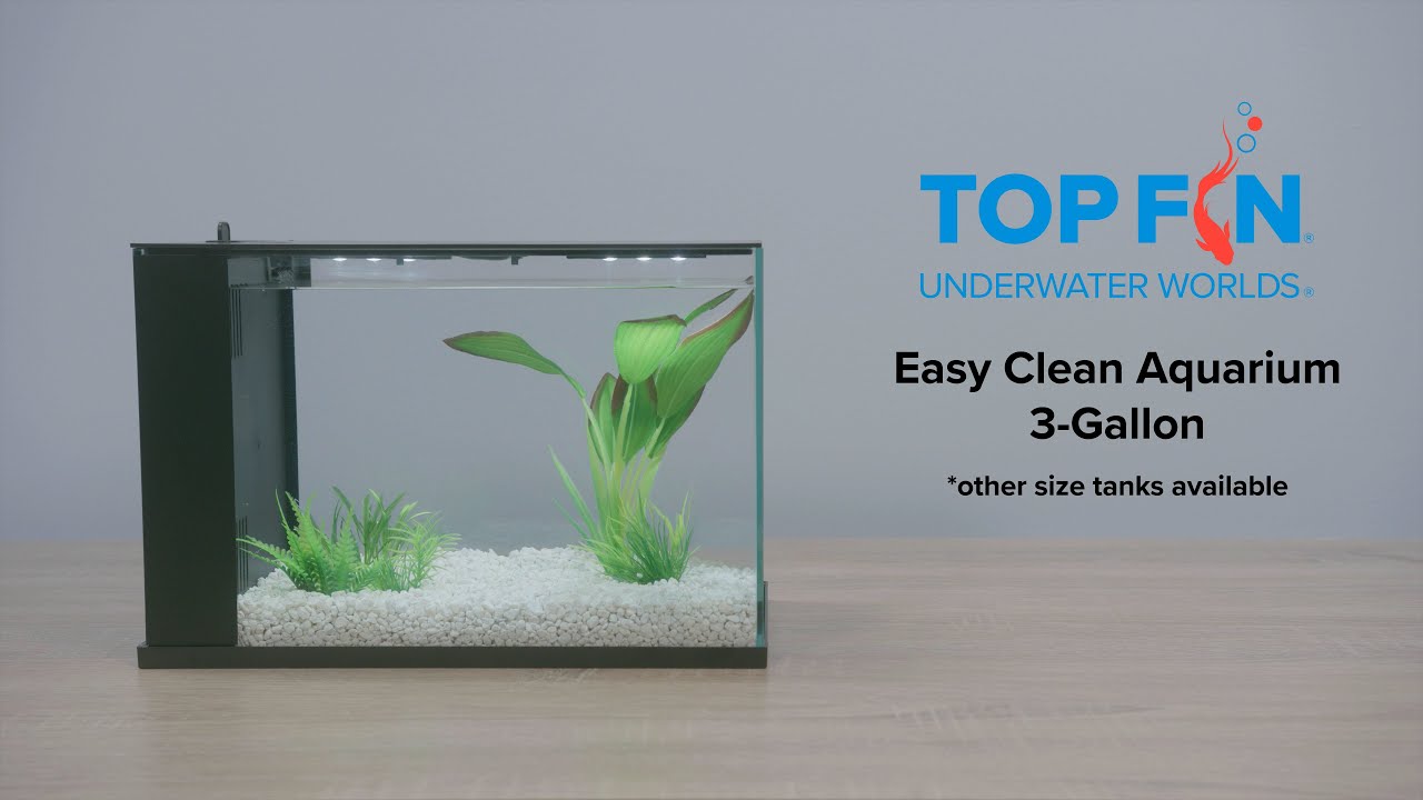 Top Fin Easy Clean Fish Tank 3 Gallon #Aquarium Setup | YouTube