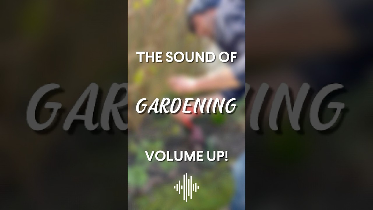 The Sound of Gardening - Ed's Garden Services
