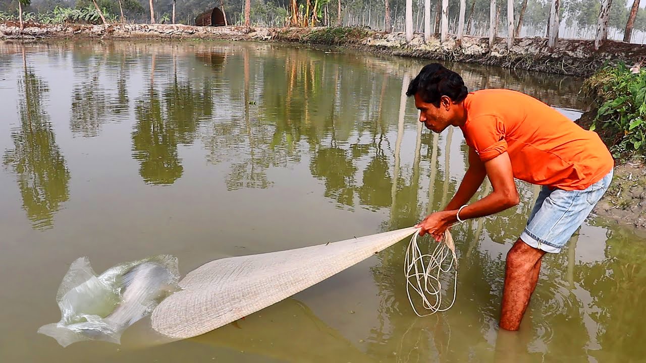 fishing video-best cast net fishing video-fishing in village pond-P-290 @amfishing5873