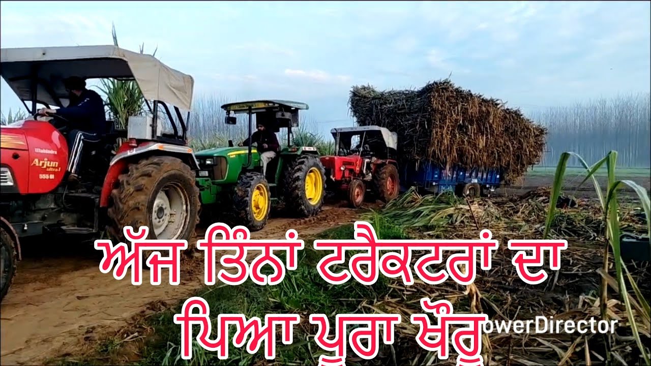 ਨੇਤਰ ਬਾਈ ਦਾ ਗੰਨਾ ਹੋਇਆ 190 ਕੁਵਿੰਟਲ/ਅੱਜ ਤਿੰਨੇ ਟਰੈਕਟਰਾਂ ਦਾ ਪਿਆ ਪੂਰਾ ਖੌਰੂ/@Bindermahal 