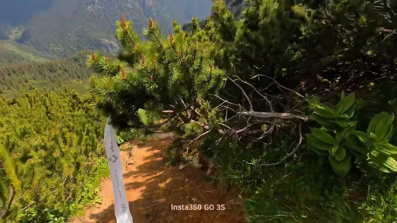 Retezat SkyRace 2025 Custura