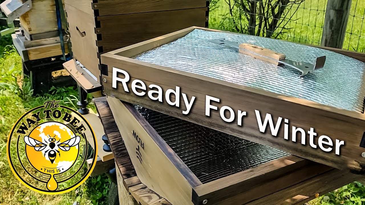Flow Hive Modification for cold climates. Turn a brood box into a medium super, and feeder shim.