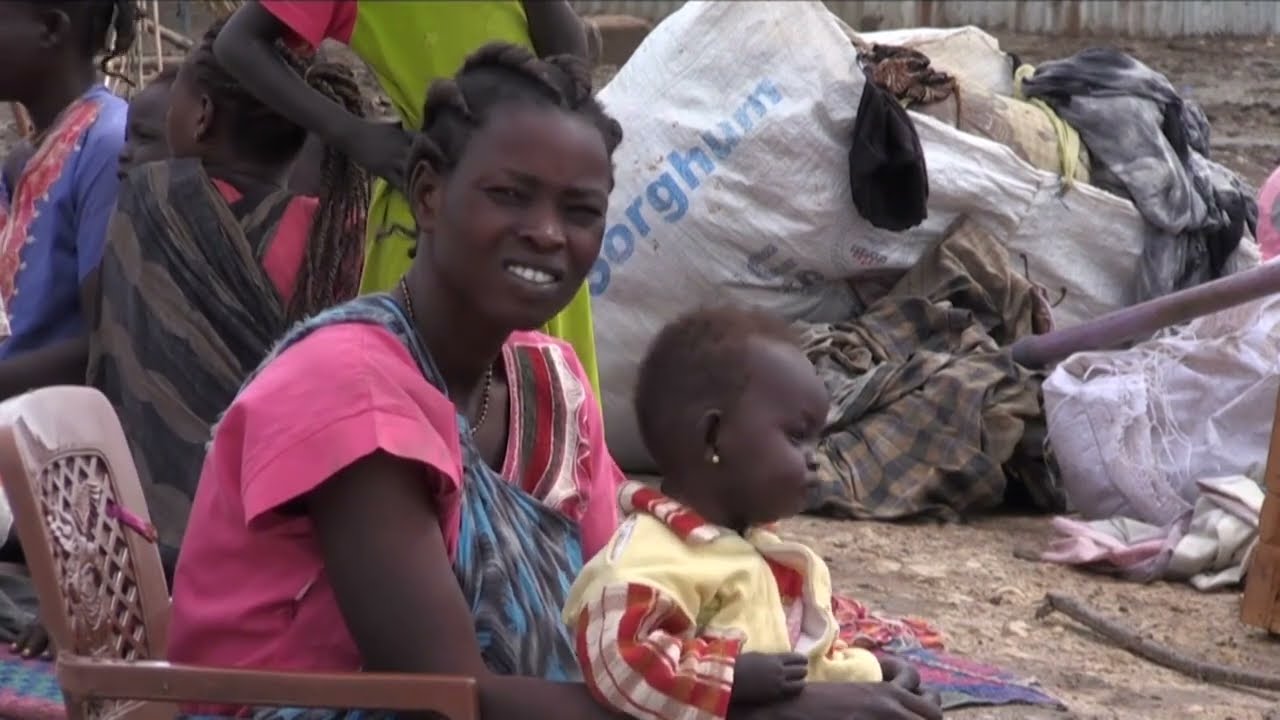 Chad reaches 'highest level of food insecurity ever' as floods hit West and Central Africa