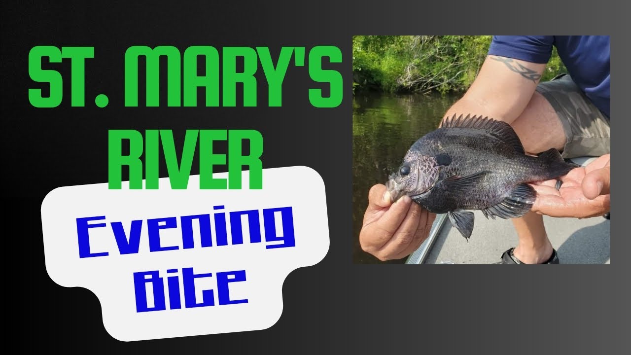 Late Evening Bite was on time!