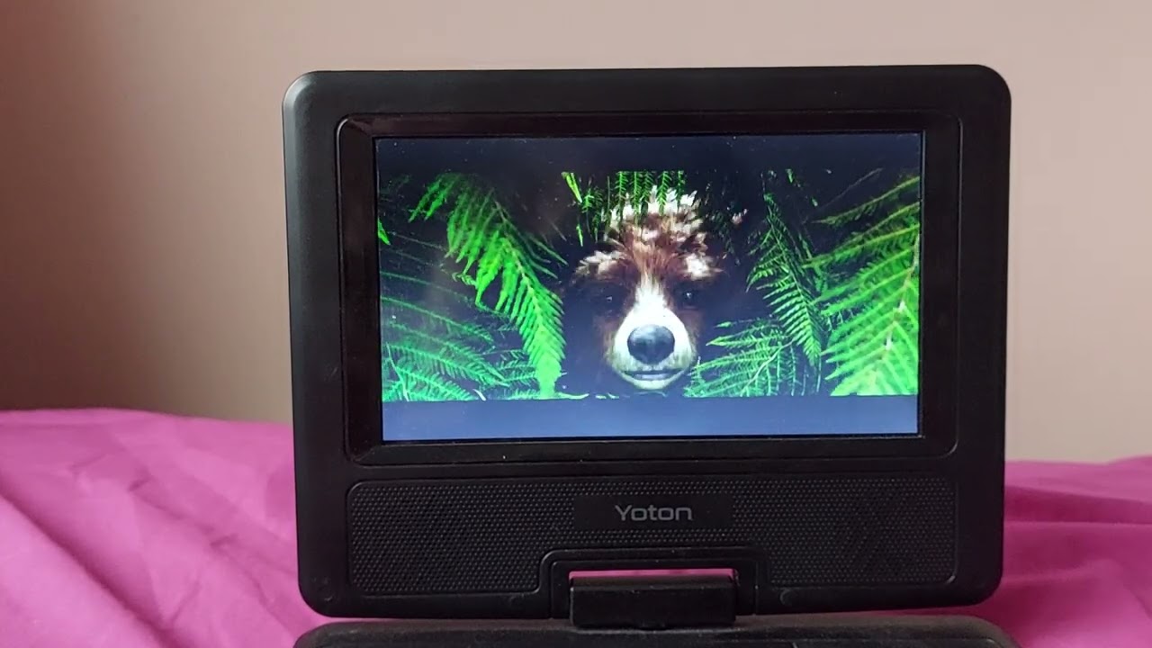 DVD Opening to Paddington in Peru