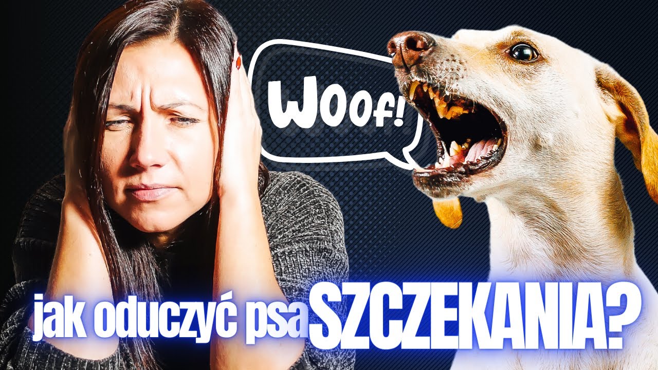Jak oduczyć psa SZCZEKANIA?