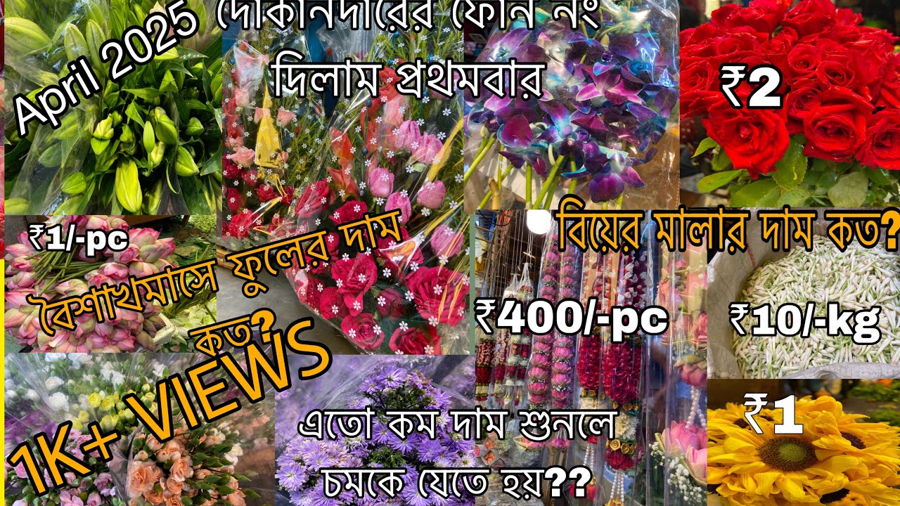 Howrah Mallick Ghat & Jagannath Ghat Flower Market | Asia’s Biggest  Market | কীভাবে আর কখন যাবেন ??
