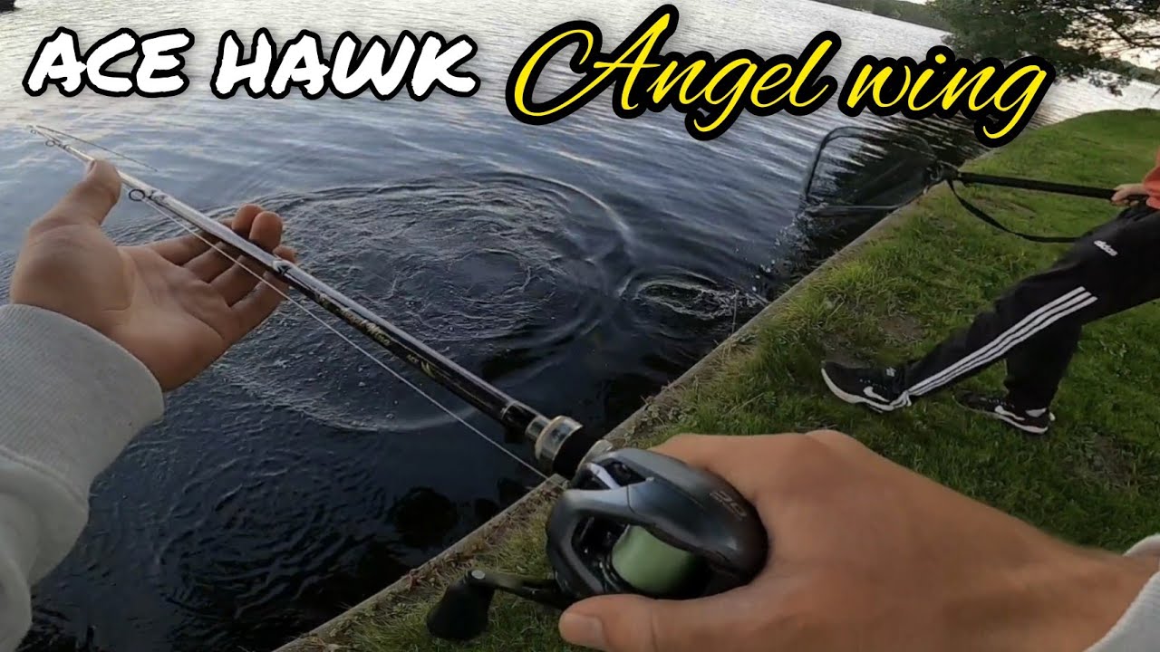 Ace Hawk Angel Wing 1st impressions