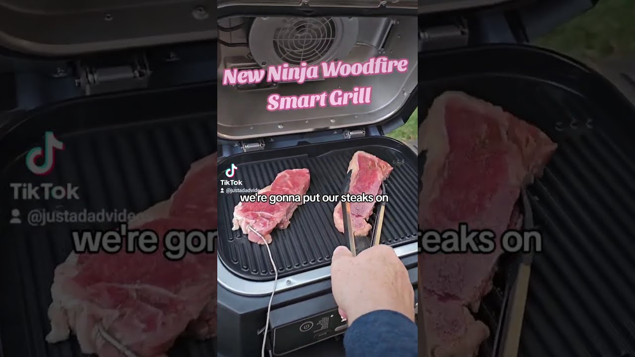 Гриль и коптильня Ninja WoodFire Outdoor Pro Connect XL &mdash; просто супер!