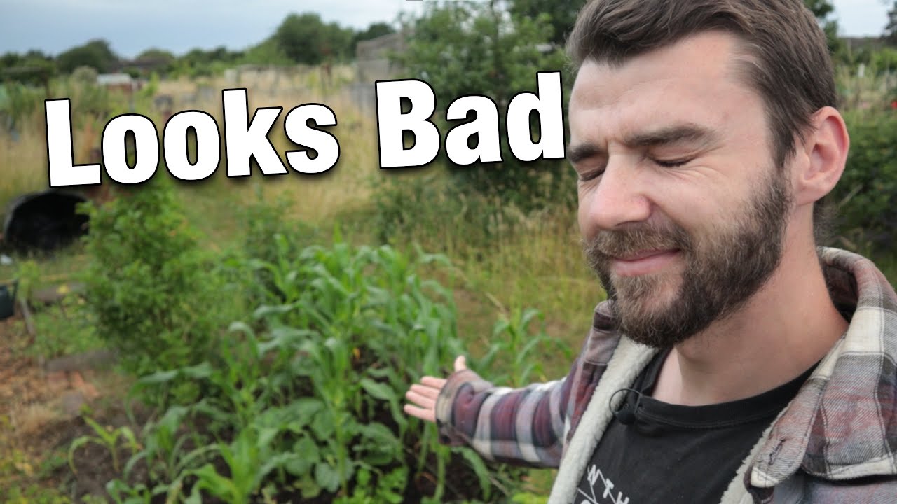 Struggling with the Second Plot