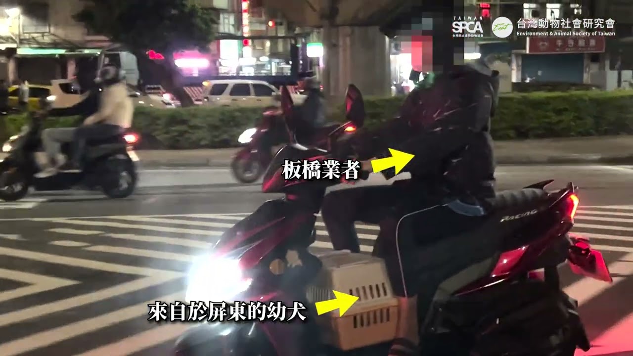 非法繁殖場完整版